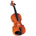 Dan Pearl River Viola M020