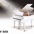 Piano Ritmuller GP160R