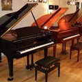 Đàn Piano Brandnew Essex EGP-155T