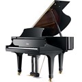 Đàn Piano Boston GP-215 PE