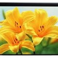 Màn chiếu điện PRIMA 87” x 48,8”