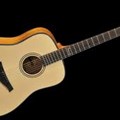 Famosa Acoustic Guitar FD20S