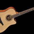 Famosa Acoustic Guitar FD15SU