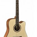 Dove Acousic Guitar DD-12