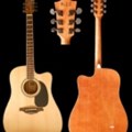 Beling Acoustic Guitar BF-400 CDBS