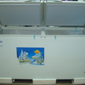 Tủ đông lạnh Daewoo DE-888