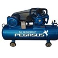 Máy nén khí PEGASUS TM-W-0.9/8-330L