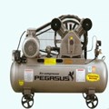 Máy nén khí PEGASUS TM-V-0.25/8-70L