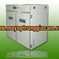 Máy ấp trứng nhập khẩu KN-3520 pcs