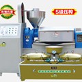 Máy ép dầu Kusami KS-YBS-Z580(cấp 5)