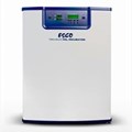 Tủ ấm CO2 CelCulture Esco CCL-240B-8-NF