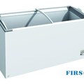 Tủ đông 2 cánh trượt Firscool G-F398 OCG