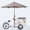 Xe đẩy tủ trưng bày kem Easybest BIKE CART