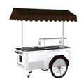 Xe đẩy kem Prosky ICE CREAM CART 10