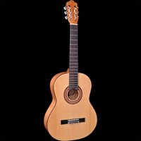 Đàn Classical Guitar C198