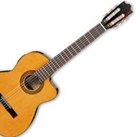 Guitar Ibanez G5-ECE
