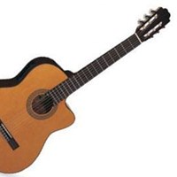 Guitar Suzuki SCG 11