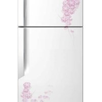 Tủ lạnh LG GN-155PG, 2 cánh, 155 Lít