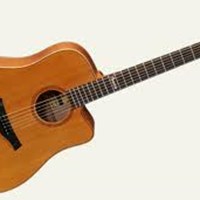 Famosa Acoustic Guitar FD25CU