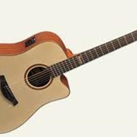 Famosa Acoustic Guitar FD25SUE