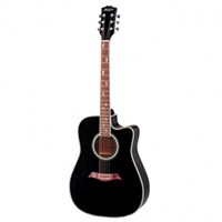 Adonis Acoustic Guitar AGW4107C