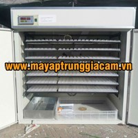 MÁY ẤP TRỨNG NHẬP KHẨU KN-1584