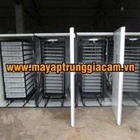 MÁY ẤP TRỨNG NHẬP KHẨU KN-19712