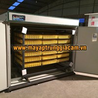 MÁY ẤP TRỨNG NHẬP KHẨU KN-3168