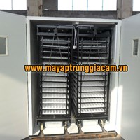 MÁY ẤP TRỨNG NHẬP KHẨU KN-9856