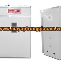 Máy ấp trứng nhập khẩu KN-440