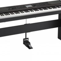 Đàn Piano Upright KORG HAVIAN 30