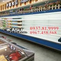 Tủ mát trưng bày siêu thị OKASU OKS-BX15F