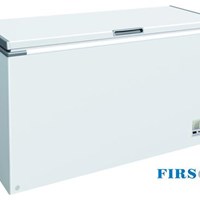 Tủ đông nằm 1 cánh Firscool G-F500