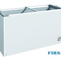 Tủ đông nằm 2 cánh trượt Firscool G-F300 FG