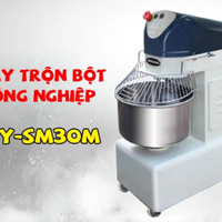 Máy trộn bột công nghiệp BJY-SM30D